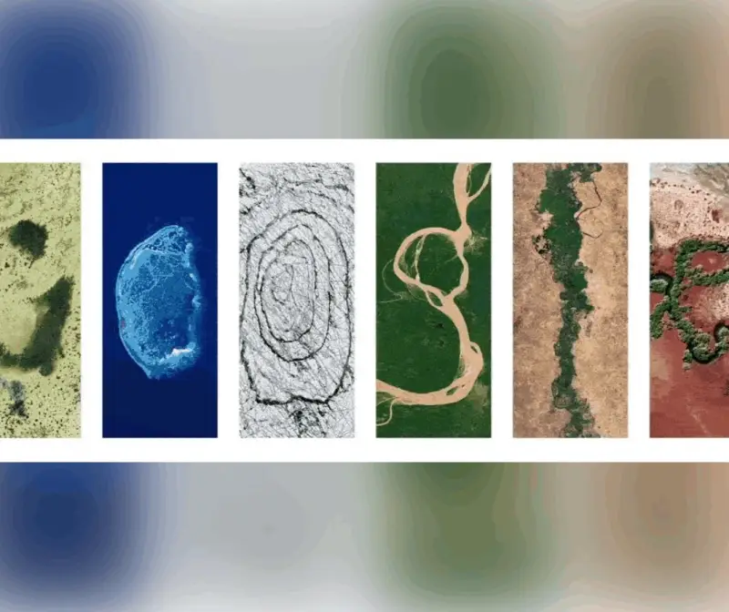 يوم الأرض.. دعوة عالمية لحماية البيئة وضمان مستقبل مستدام