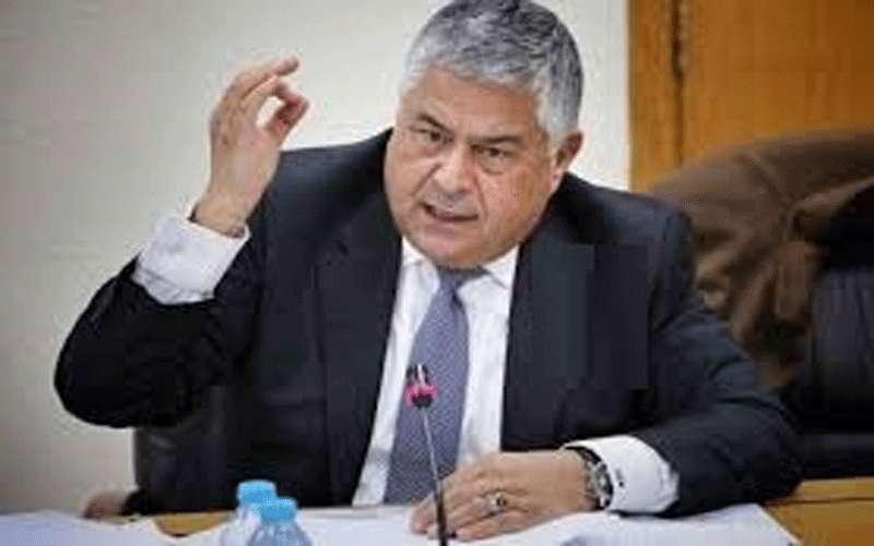 ملحس إلى رئاسة "استثمار أموال الضمان"