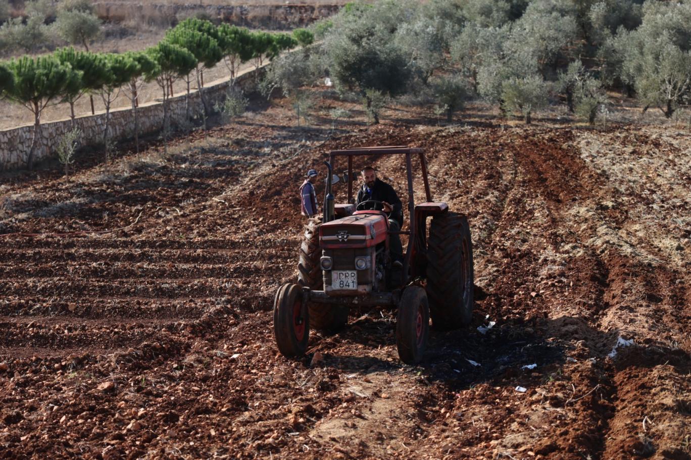 العوران: موجة الحر تهدد الزراعة الأردنية وتؤثر على الإنتاج النباتي والحيواني