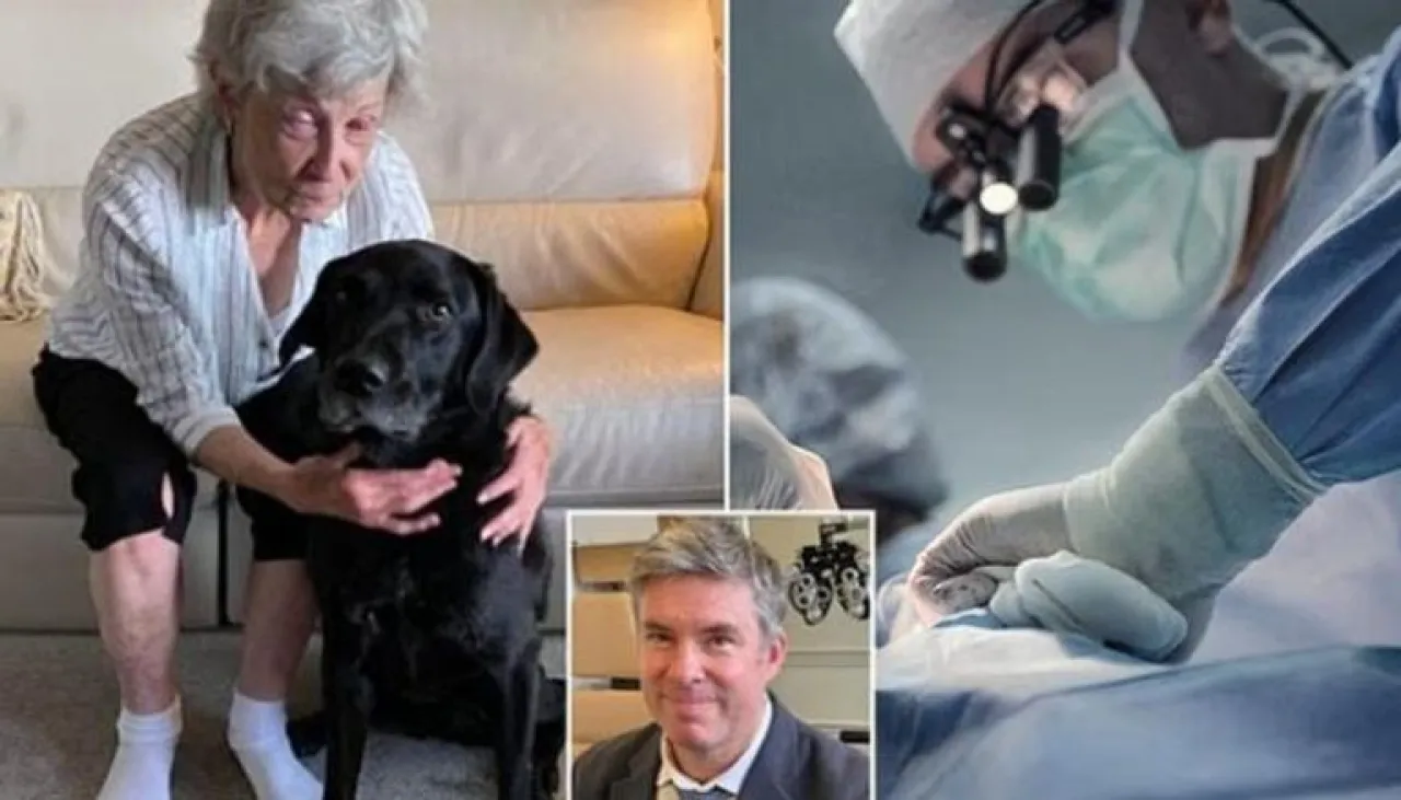 صورة حول : جراحة فريدة تُعيد البصر لسيدة كندية بعد 10 سنوات من العمى جراحة فريدة تُعيد البصر لسيدة كندية بعد 10 سنوات من العمى