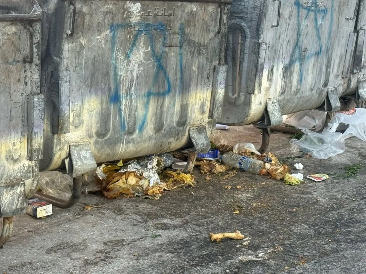 صورة حول : روائح كريهة وفئران وكلاب ضالة تُقلق سكان دير غبار... لهذا السبب روائح كريهة وفئران وكلاب ضالة تُقلق سكان دير غبار... لهذا السبب