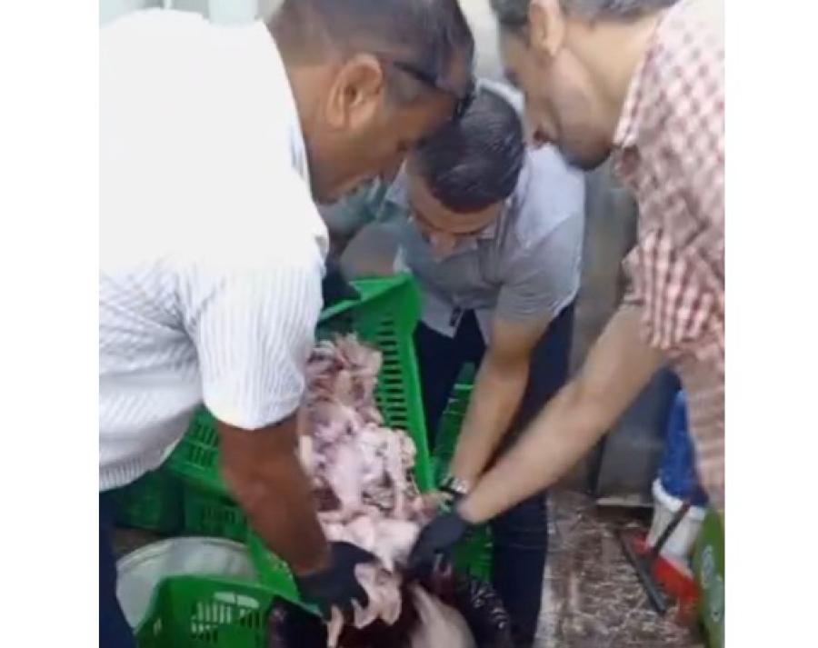 صورة حول : دجاج فاسد مجهول المصدر في الزرقاء دجاج فاسد مجهول المصدر في الزرقاء