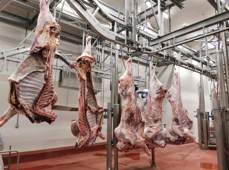 صورة حول : إنذارًا نهائيًا لشركة لحوم بسبب ديون بقيمة 300 ألف دولار إنذارًا نهائيًا لشركة لحوم بسبب ديون بقيمة 300 ألف دولار