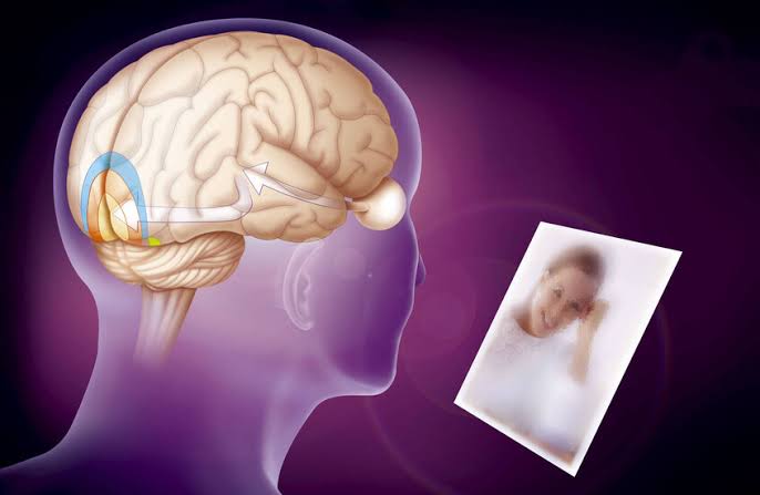 صورة حول : دراسة تكشف سر ترتيب الدماغ للذكريات وتأثير العاطفة عليها دراسة تكشف سر ترتيب الدماغ للذكريات وتأثير العاطفة عليها