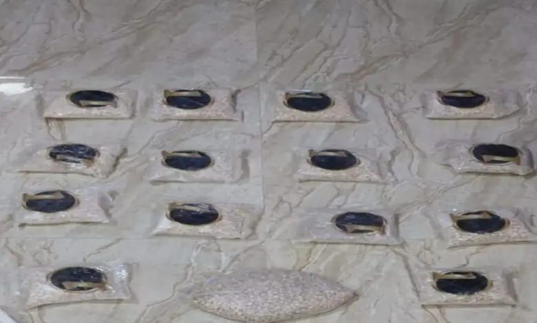 عاجل | الجيش يحبط محاولة تهريب مخدرات عبر بالونات
