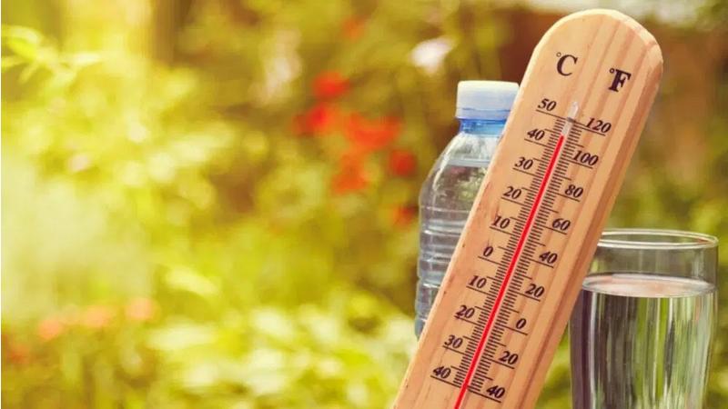 صورة حول : تعرّف على حالة الطقس في المملكة الخميس تعرّف على حالة الطقس في المملكة الخميس