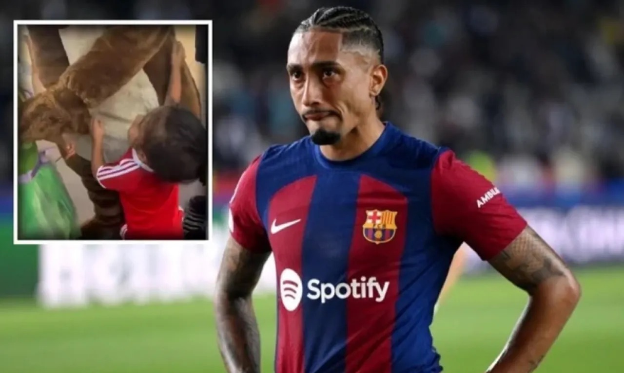 صورة حول : رافينيا يتهم "ديزني لاند باريس" بالعنصرية تجاه ابنه رافينيا يتهم "ديزني لاند باريس" بالعنصرية تجاه ابنه