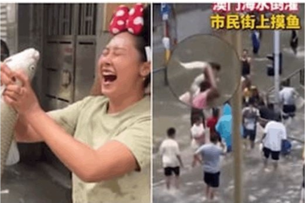 صورة حول : إعصار راجاسا يحول شوارع ماكاو إلى برك وسكان يصطادون الأسماك إعصار راجاسا يحول شوارع ماكاو إلى برك وسكان يصطادون الأسماك