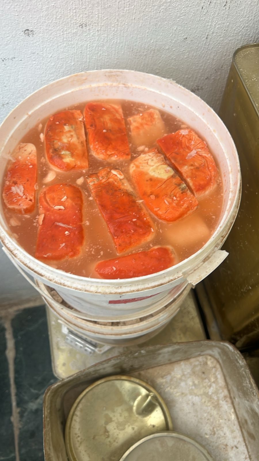 عاجل |الغذاء والدواء تتلف 5 أطنان جبنة فاسدة في موقع غير مرخص .. صور