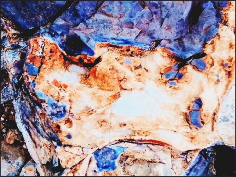 صورة حول : افتتاح معرض "كائنات: وجوه مقطوفة من سمفونية الأرض" افتتاح معرض "كائنات: وجوه مقطوفة من سمفونية الأرض"