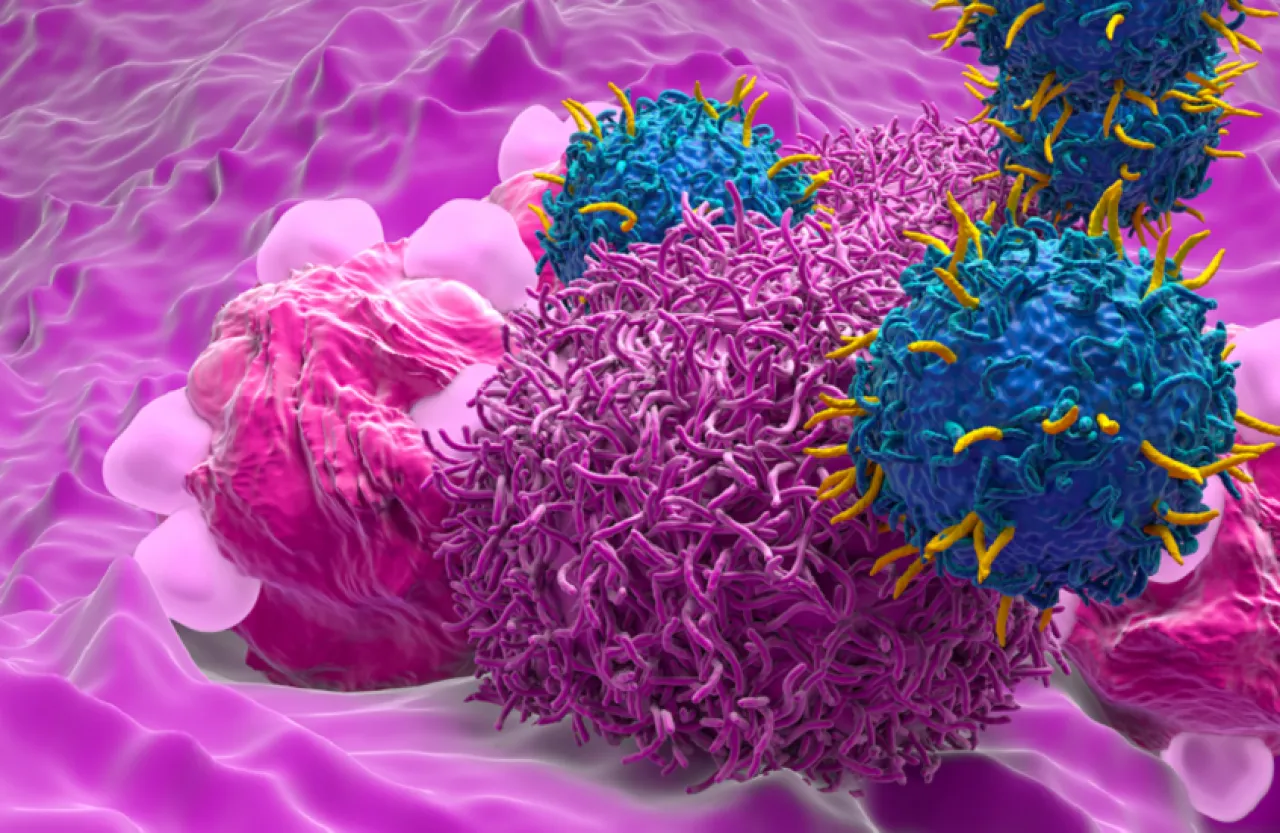 دراسة: الناجيات من سرطان عنق الرحم أكثر عرضة للإصابة بسرطان الشرج