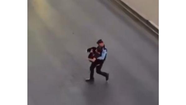 صورة حول : عاجل | بالفيديو .. رقيب سير يخطف الانظار بتصرف إنساني في شارع الجامعة الأردنية عاجل | بالفيديو .. رقيب سير يخطف الانظار بتصرف إنساني في شارع الجامعة الأردنية