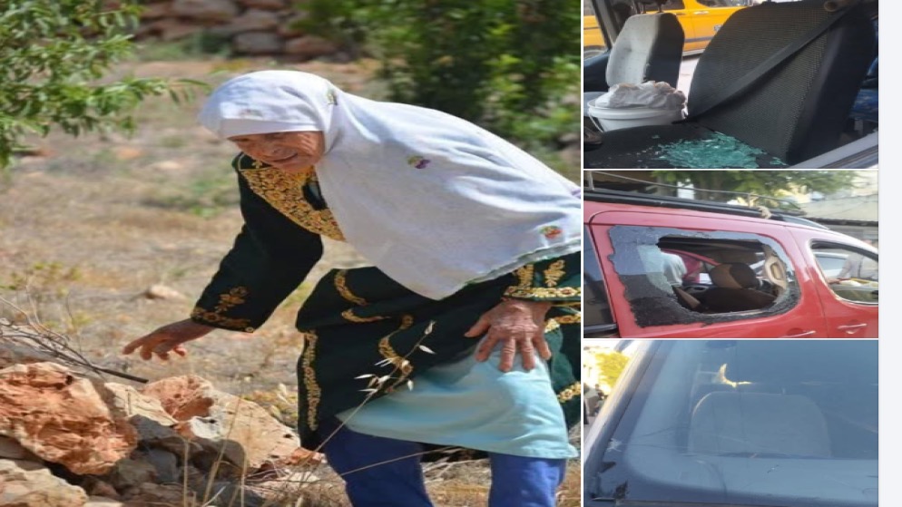 صورة حول : مستوطنون يهاجمون الفلسطينيين خلال قطف الزيتون في نابلس مستوطنون يهاجمون الفلسطينيين خلال قطف الزيتون في نابلس