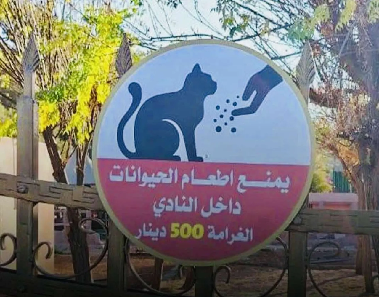 غرامة 500 دينار لإطعام الحيوانات في “مدينة الحسين للشباب” تُشعل غضب الأردنيين!