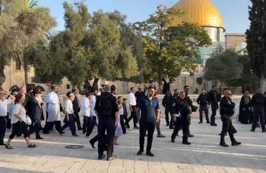 جماعات “الهيكل” تستعد لاقتحامات واسعة للأقصى