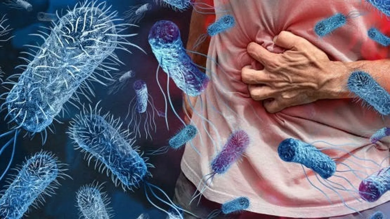 الكوليرا تشتعل في درعا.. والأردن يرفع جهوزيته