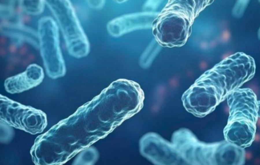 صورة حول : تسجيل حالتي وفاة بداء الدفتيريا في الجزائر تسجيل حالتي وفاة بداء الدفتيريا في الجزائر