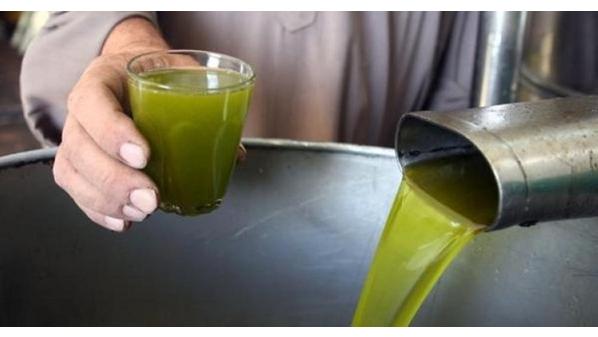 زيارة تفقدية لمختبر فحص زيت الزيتون