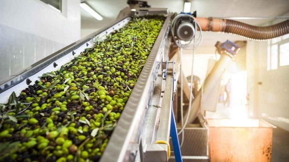 صورة حول : وزير الزراعة يمدد فترة ترخيص معاصر الزيتون في جميع المحافظات وزير الزراعة يمدد فترة ترخيص معاصر الزيتون في جميع المحافظات