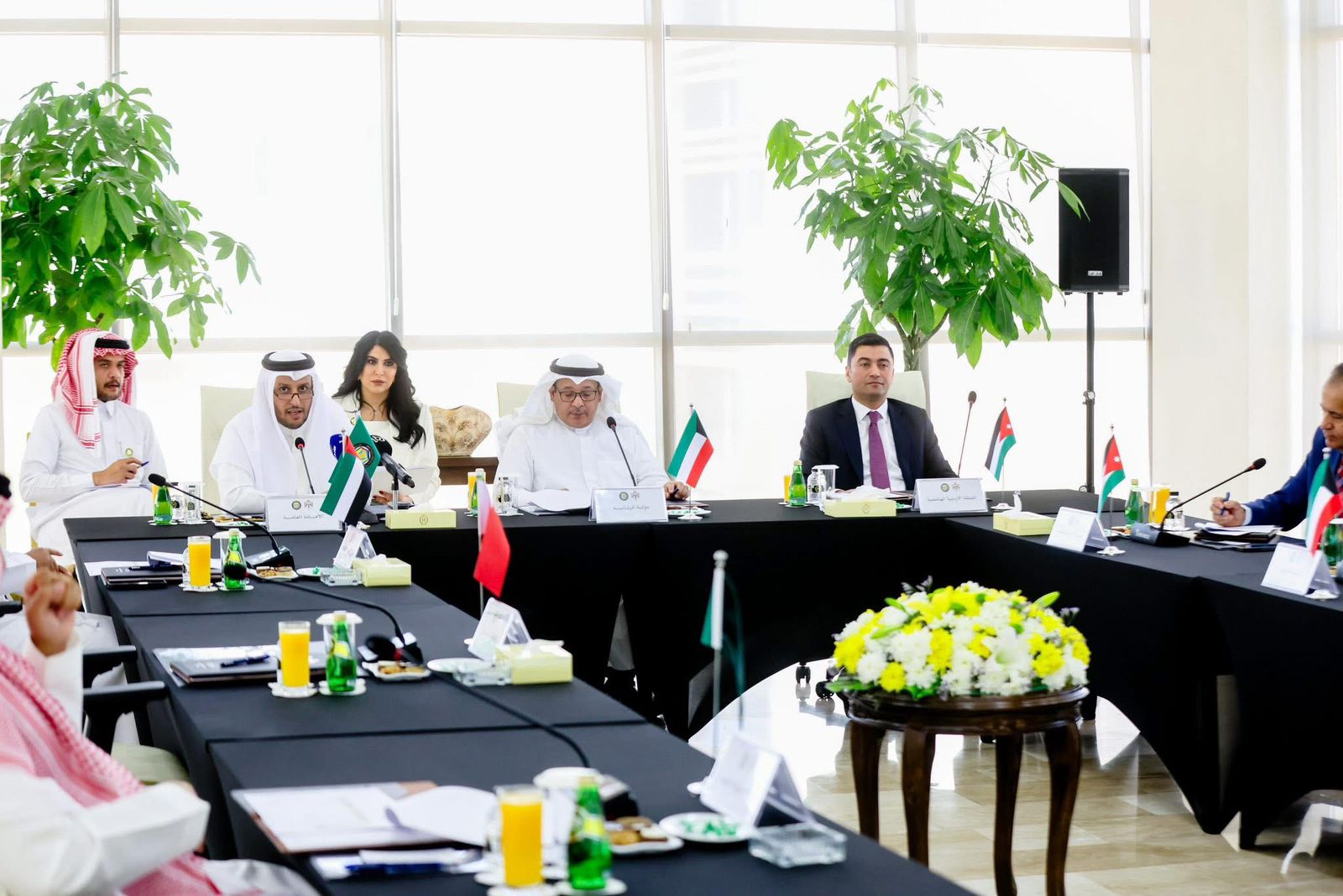 وزارة الشباب تستضيف الاجتماع الثاني عشر لفريق العمل المشترك بين مجلس التعاون لدول الخليج العربية والأردن في مجال الشباب