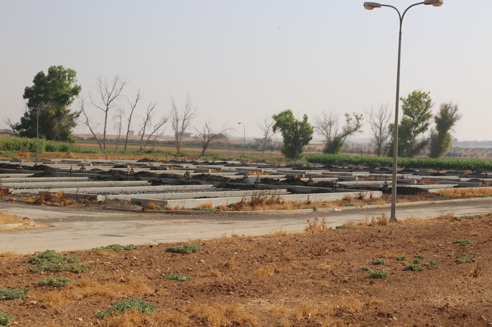 197 مليون متر مكعب من المياه المعالجة تعزز الزراعة