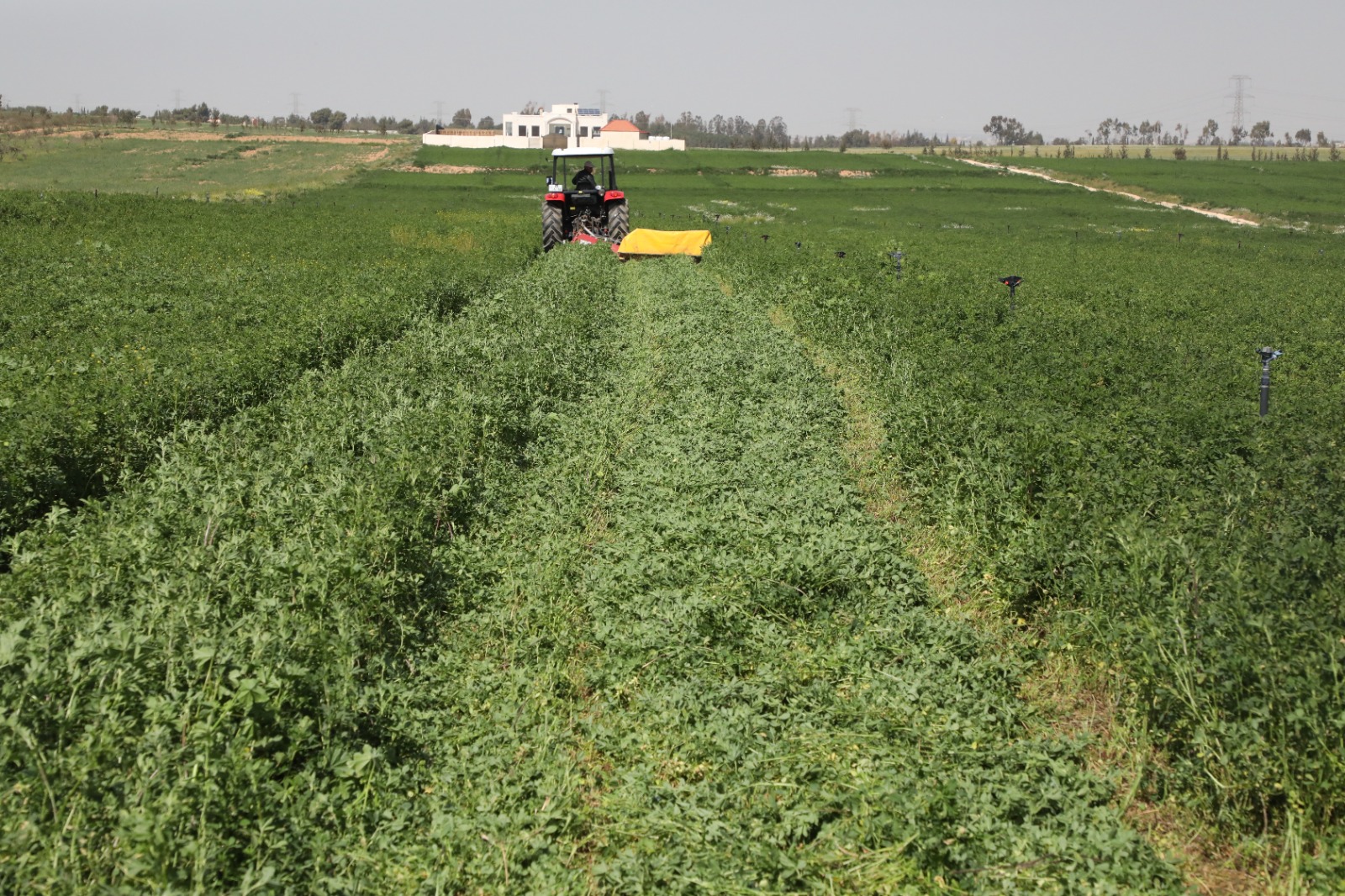 197 مليون متر مكعب من المياه المعالجة تعزز الزراعة