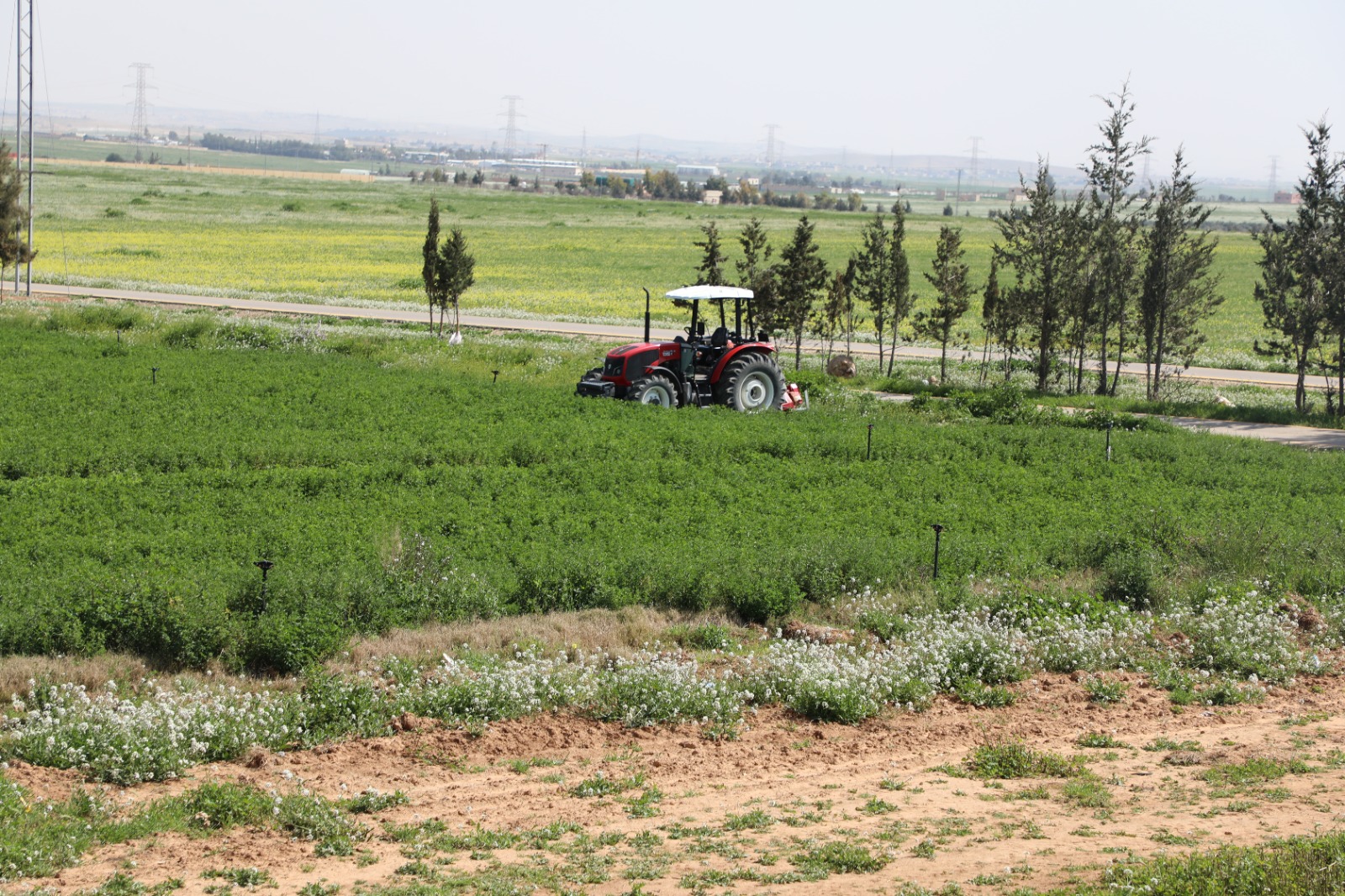 صورة حول : 197 مليون متر مكعب من المياه المعالجة تعزز الزراعة 197 مليون متر مكعب من المياه المعالجة تعزز الزراعة