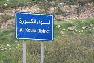 زراعة الكورة تدعو لتقليم الزيتون استعدادًا للموسم الجديد