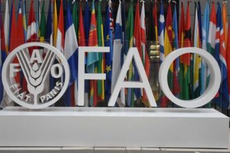 مؤشر الأغذية يهبط 21% عن أعلى مستوياته التاريخية