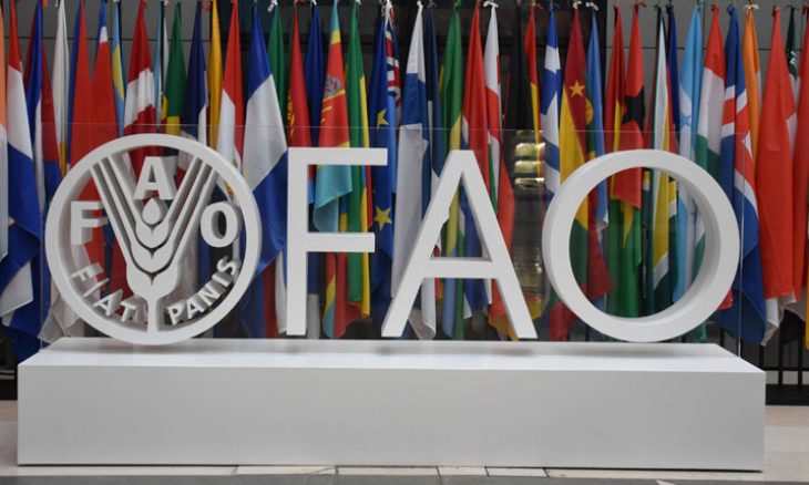 مؤشر الأغذية يهبط 21% عن أعلى مستوياته التاريخية