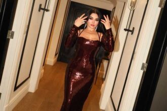 تطورات جديدة في قضية هيفاء وهبي