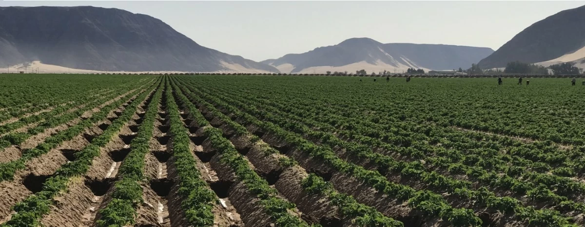 صورة حول : العلاقات المصرية الأردنية نموذج للتكامل الزراعي وتمكين المرأة الريفية العلاقات المصرية الأردنية نموذج للتكامل الزراعي وتمكين المرأة الريفية