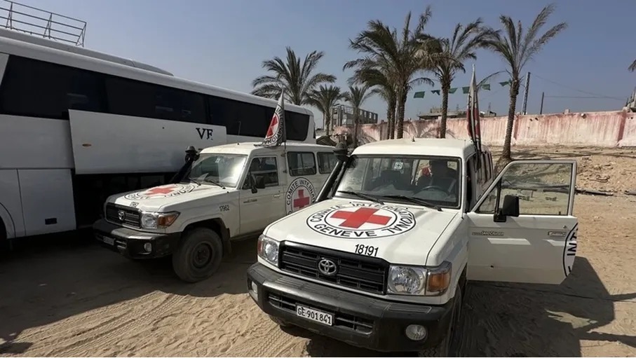 الصليب الأحمر والقسام يواصلان البحث جنوب غزة