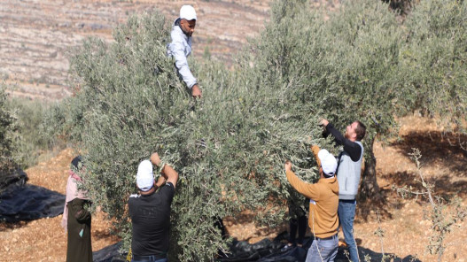 صورة حول : الأمم المتحدة: هجمات المستوطنين في الضفة مستمرة وتهديدات بالتهجير القسري الأمم المتحدة: هجمات المستوطنين في الضفة مستمرة وتهديدات بالتهجير القسري