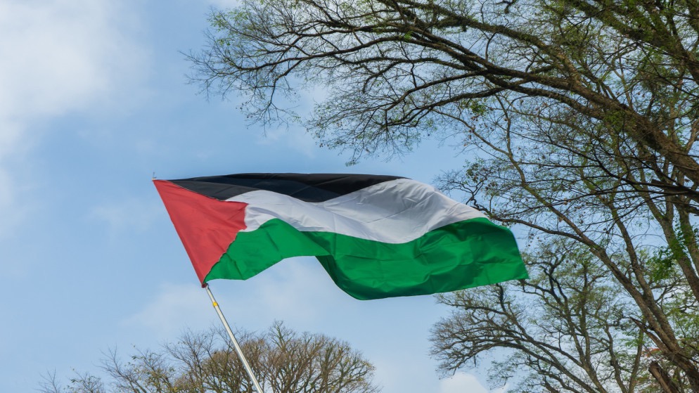 في يوم التضامن… هل آن الأوان لعدالة حقيقية للفلسطينيين؟