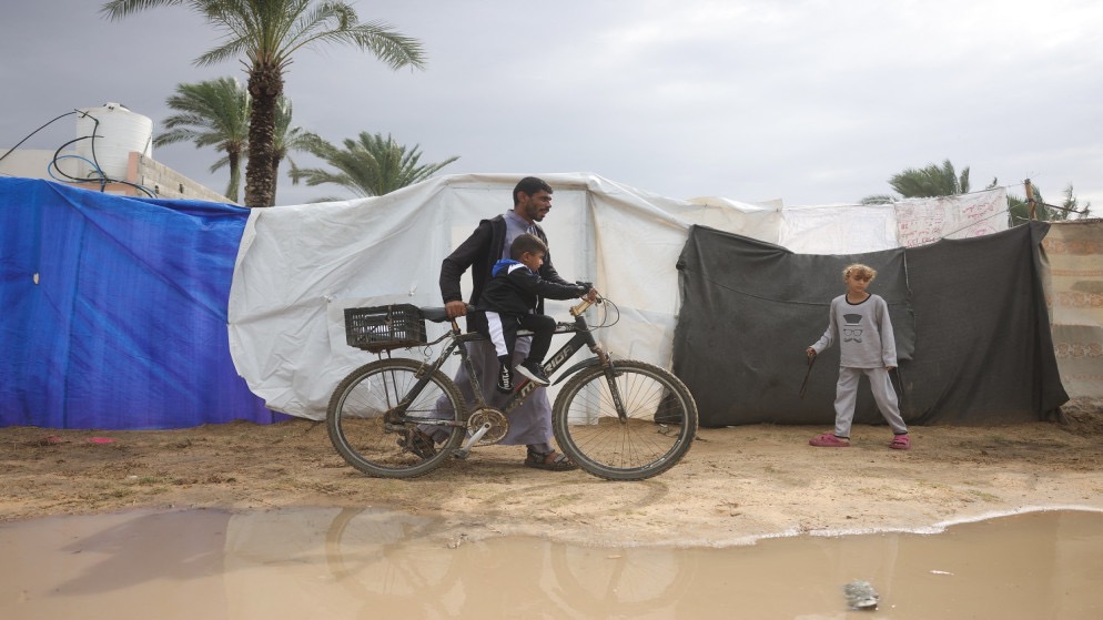 صورة حول : الصفدي وعبد العاطي يناقشان جهود تثبيت وقف إطلاق النار في غزة الصفدي وعبد العاطي يناقشان جهود تثبيت وقف إطلاق النار في غزة