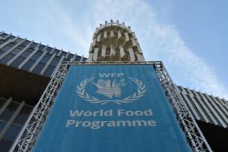 برنامج الأغذية العالمي يدعو لفتح المعابر لتوسيع المساعدات في غزة