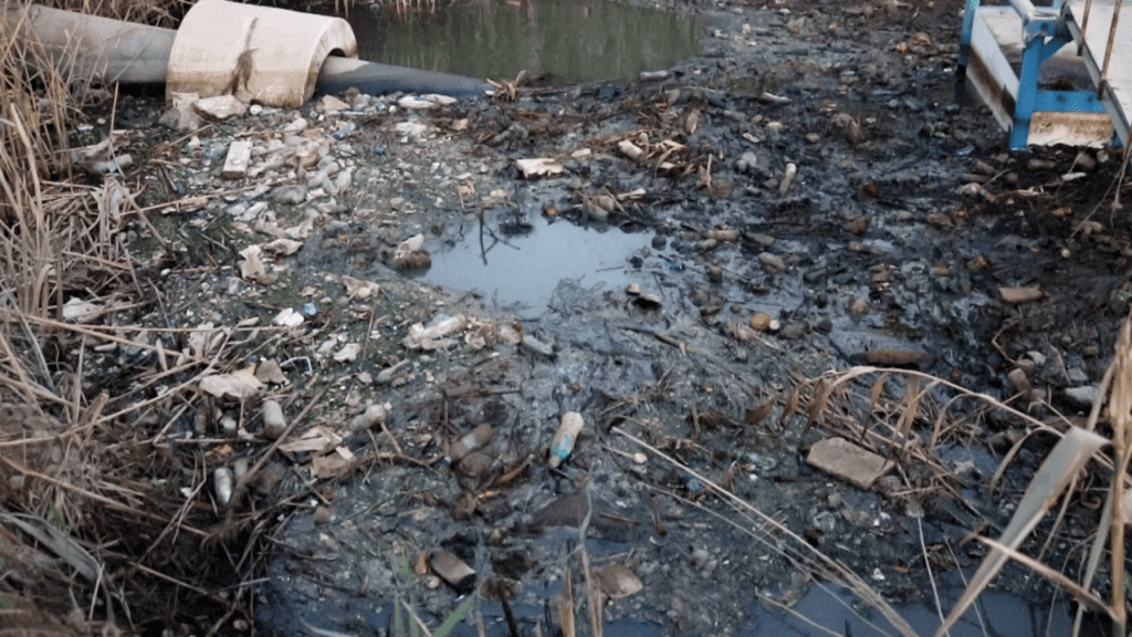 صورة حول : عاجل | بالفيديو .. مواطن : امانة عمان شو بتستنا عمارة ٦ طوابق انها تقع عشان تتحرك ؟ عاجل | بالفيديو .. مواطن : امانة عمان شو بتستنا عمارة ٦ طوابق انها تقع عشان تتحرك ؟