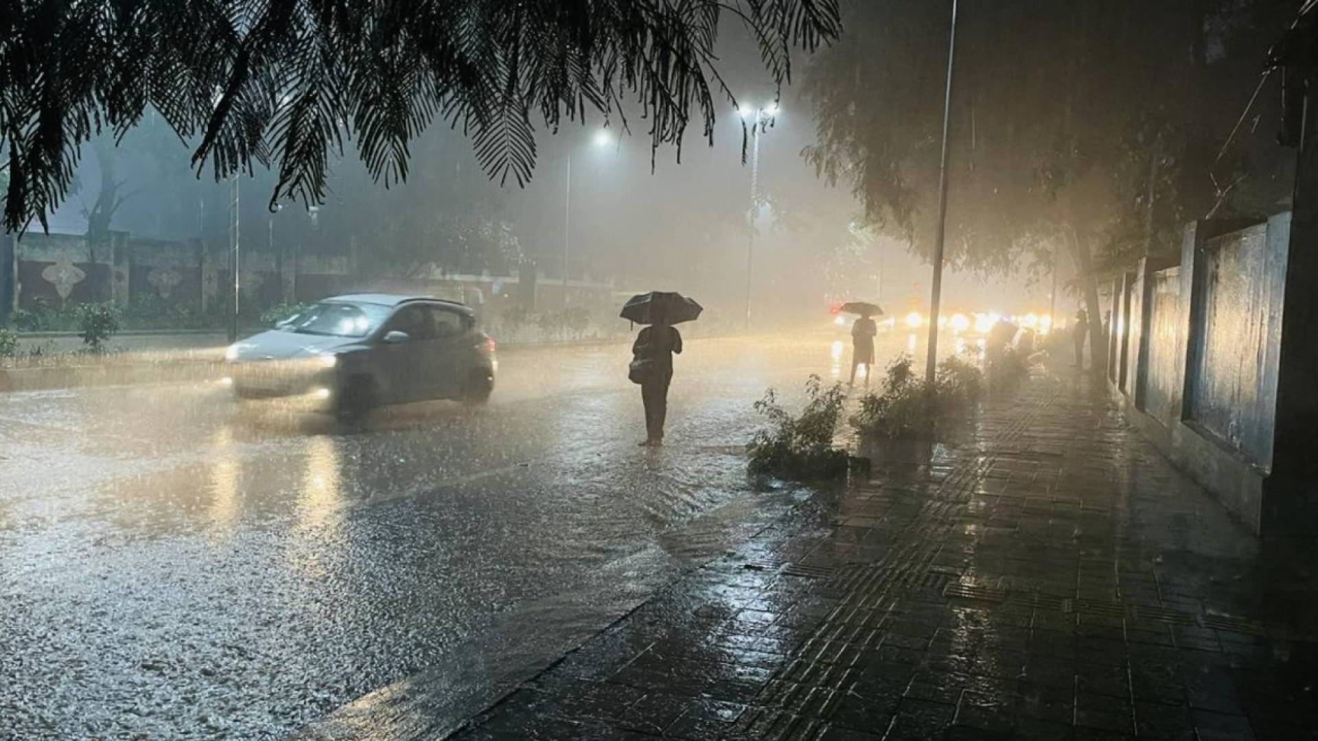 صورة حول : هطول أمطار غزيرة يشمل مناطق واسعة في إربد هطول أمطار غزيرة يشمل مناطق واسعة في إربد