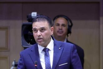 المصري: لا نحتاج إلى موازنات تستهلك