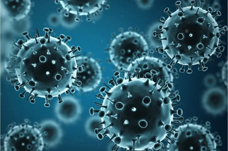 صورة حول : الأوبئة: ننصح الأردنيين بمطعوم الإنفلونزا الأوبئة: ننصح الأردنيين بمطعوم الإنفلونزا