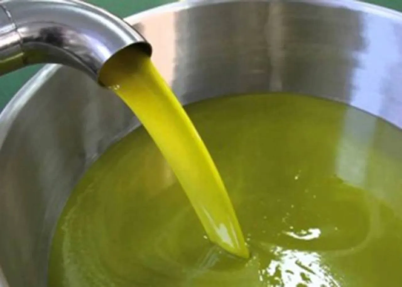 صورة حول : سوريا: تنكة زيت الزيتون تستقر عند 70 دينارا سوريا: تنكة زيت الزيتون تستقر عند 70 دينارا