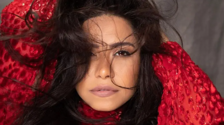 شيرين تعود للمخافر مرة ثانية