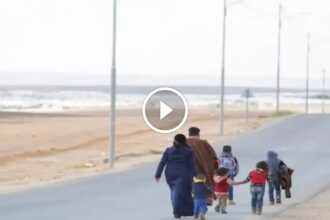 انخفاض عدد اللاجئين السوريين العائدين إلى بلادهم من الأردن