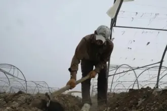 تسفير 5460 عاملا وافدا في الأردن