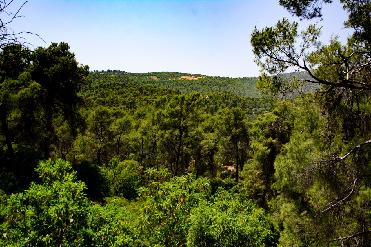 صورة حول : دبين وجهة سياحية طبيعية تجمع بين الجمال والثراء البيئي دبين وجهة سياحية طبيعية تجمع بين الجمال والثراء البيئي