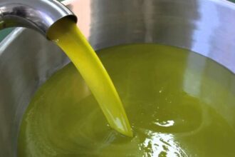 زيت الزيتون الأردني تحت المجهر: وزارة الزراعة تفرض شروطاً صارمة للفحص والاستيراد