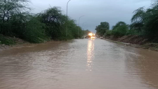 صورة حول : إعادة فتح طريق العدسية - الشونة الشمالية بعد أعمال تنظيف وإزالة الانهيارات إعادة فتح طريق العدسية - الشونة الشمالية بعد أعمال تنظيف وإزالة الانهيارات