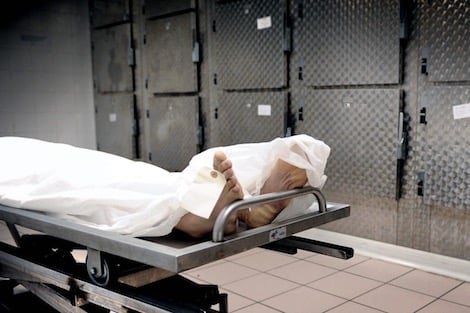 وفاة طالب جامعي بالتهاب الســحايا البكتــيري غير الوبائي في الطفيلة والصحة توضح