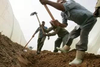 تسفير أكثر من 5 آلاف عامل مخالف خلال 9 أشهر